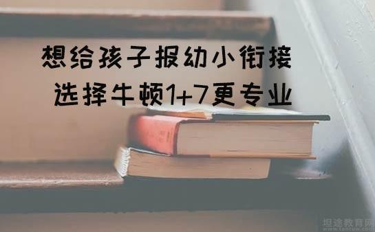 无锡牛顿1+7教育